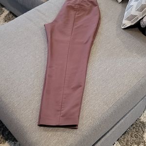 Express Columnist ankle pants